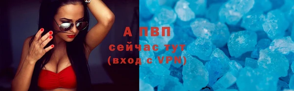 сатива Балабаново