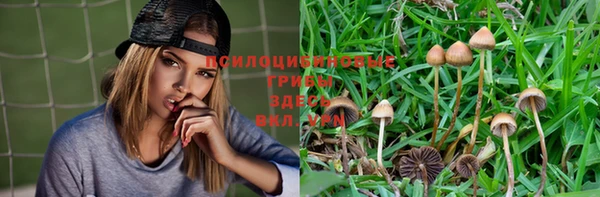 меф Баксан