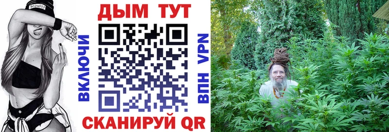 наркотики  Лагань  Канабис план 